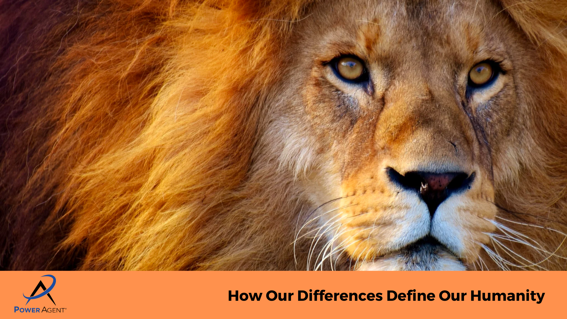 How Our Differences Define Our Humanity