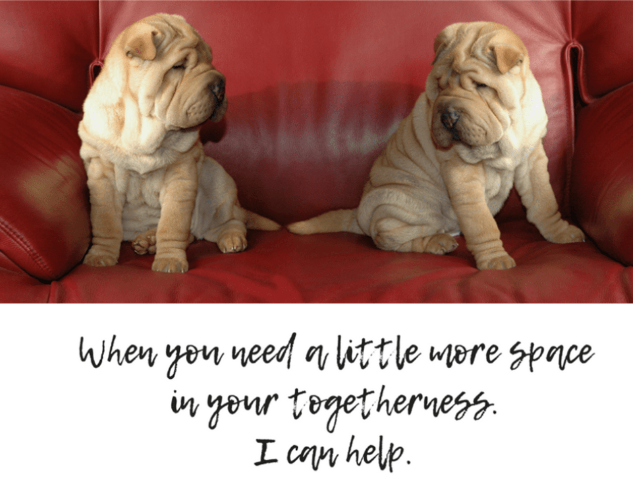 Misc – Space in Your Togetherness