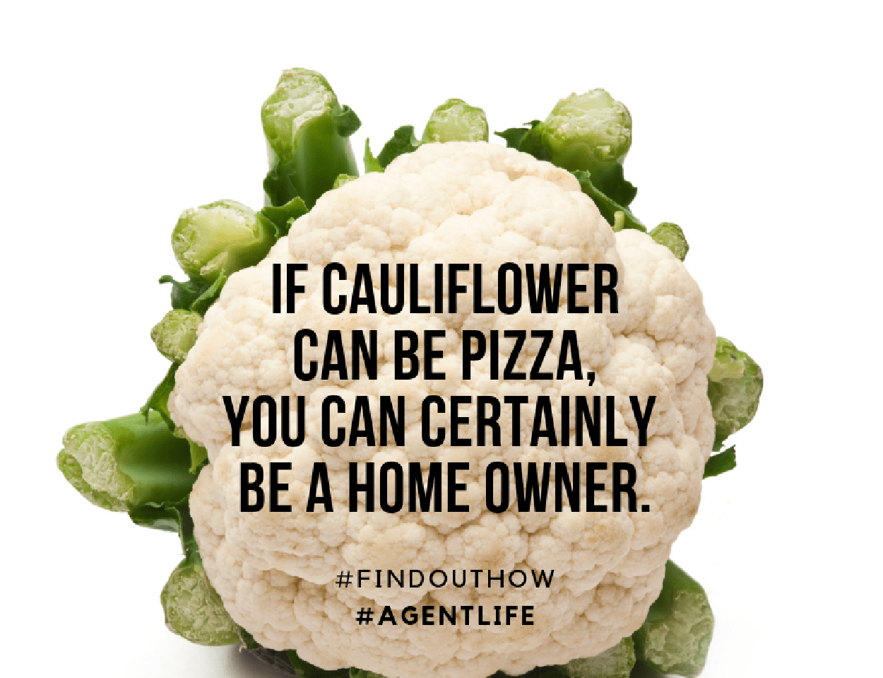 Funny – Cauliflower, Homeowner 