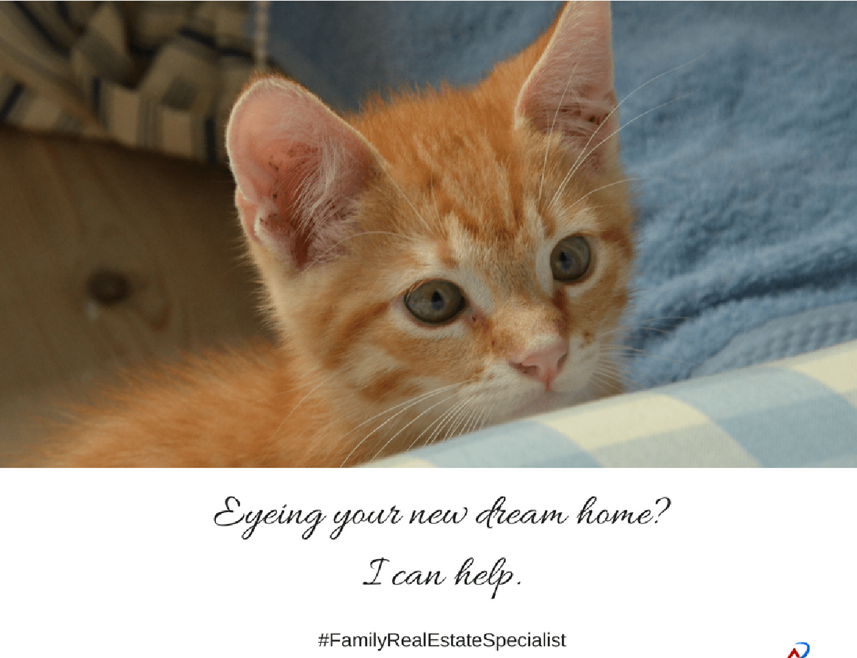 Animals – Eyeing a Dream Home