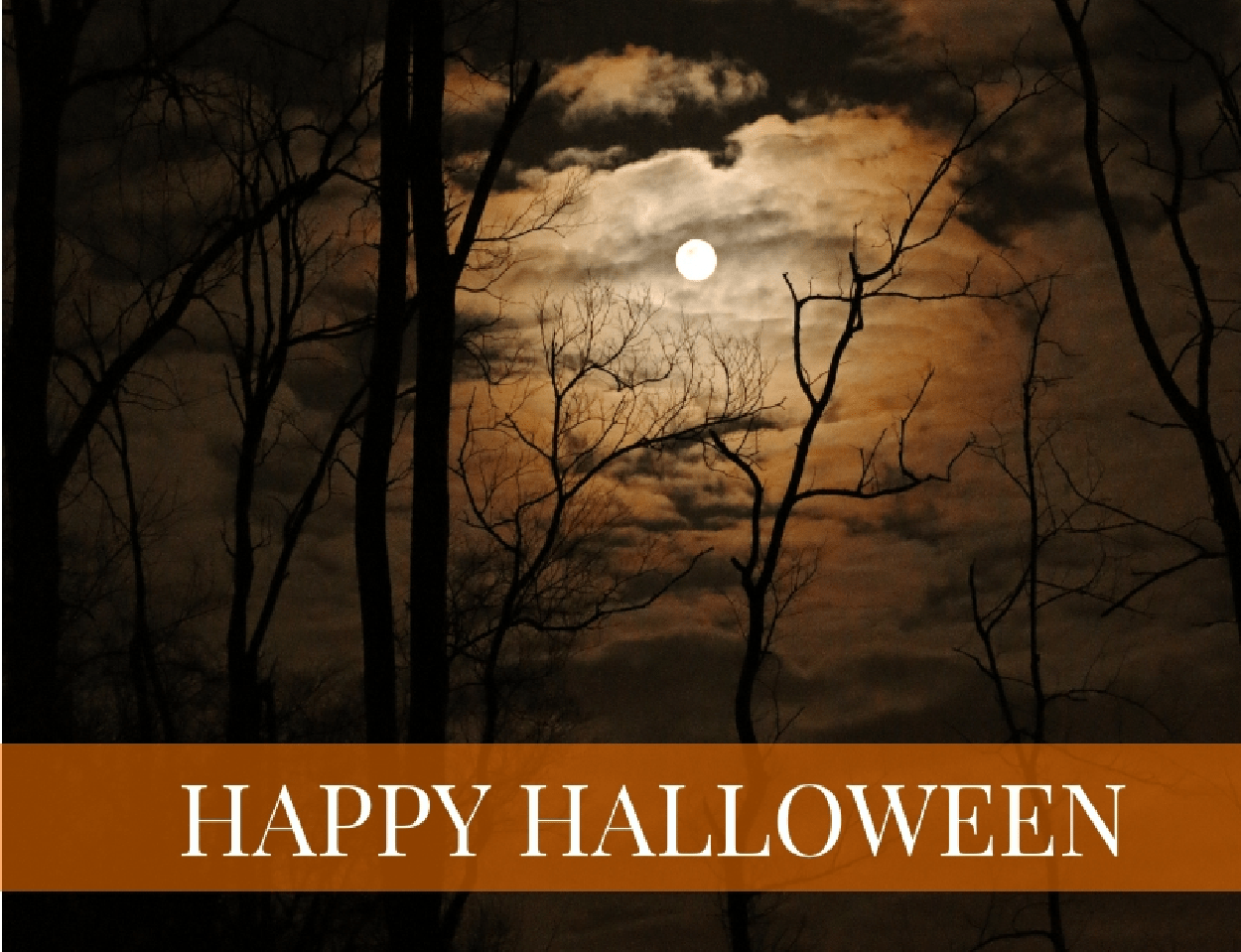 Holiday – October – Happy Halloween Scene 