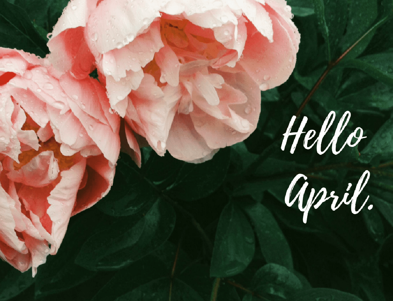 Holiday – April – Hello