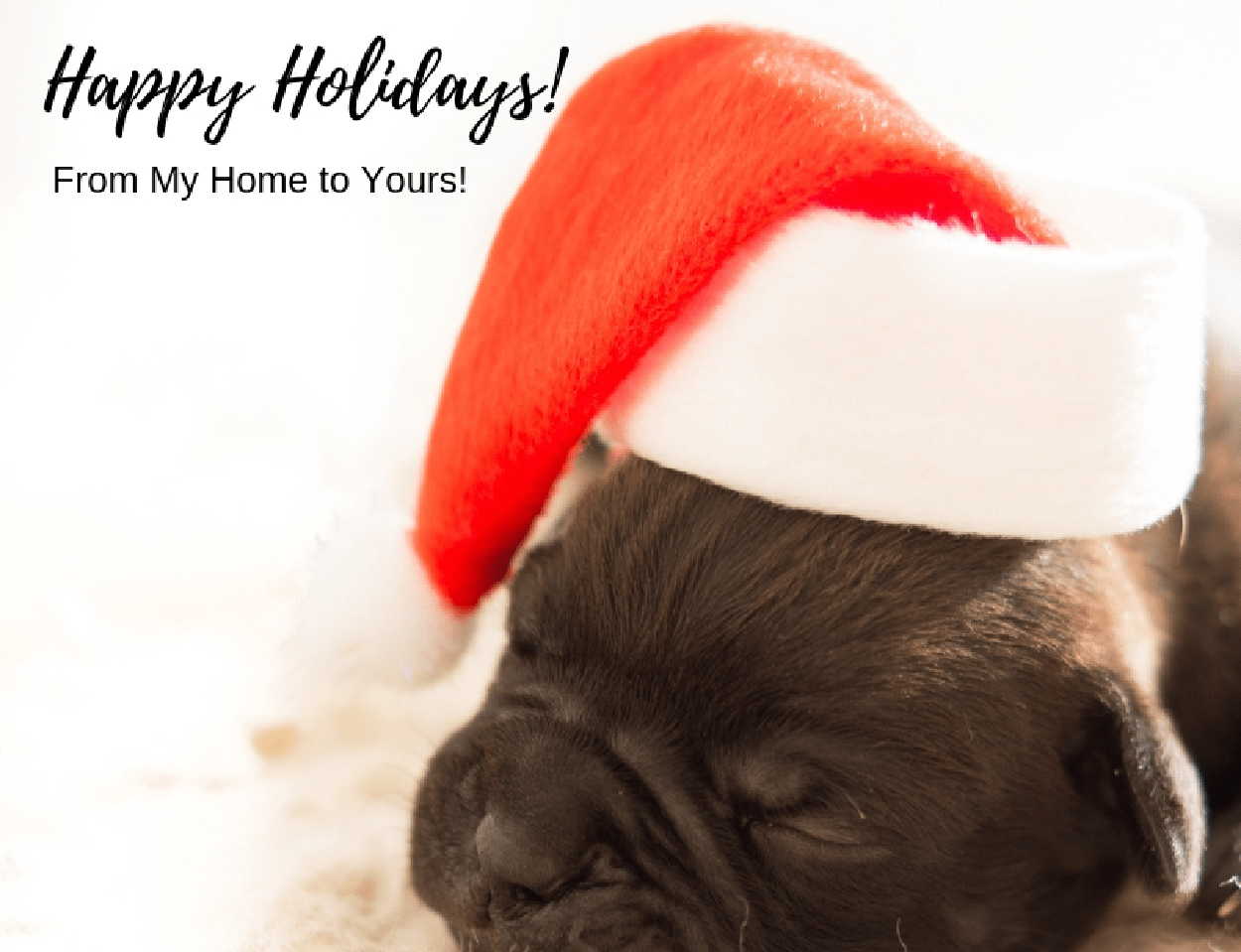 Holiday – December – Puppy