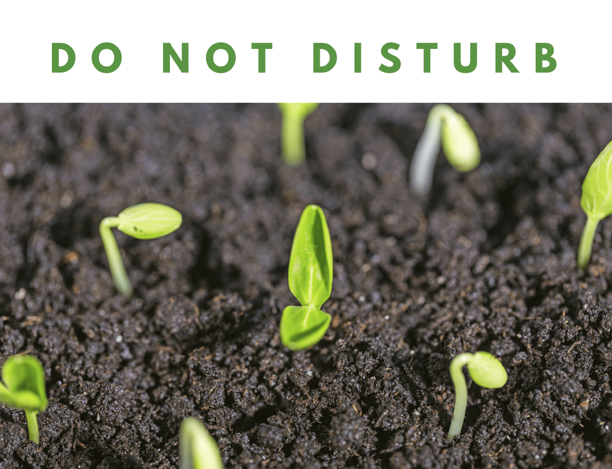 Do Not Disturb Prospecting Sign – Planting Seeds of Success 