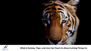 What A Donkey, Tiger, and Lion Can Teach Us About Letting Things Go 