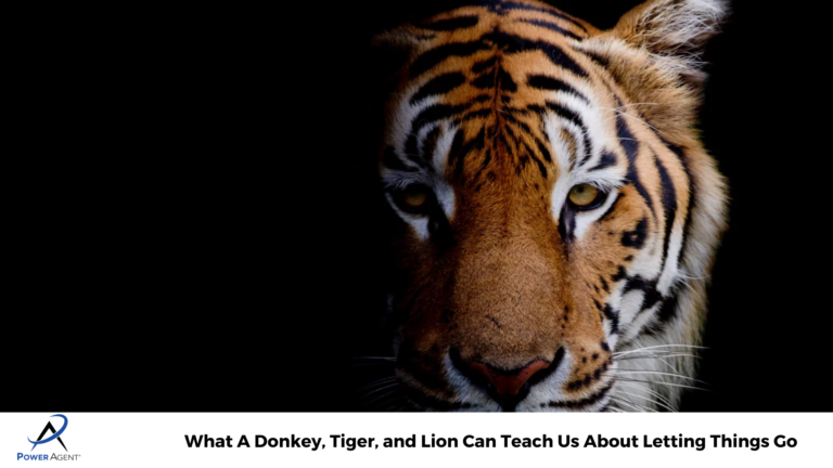 What A Donkey, Tiger, and Lion Can Teach Us About Letting Things Go ...