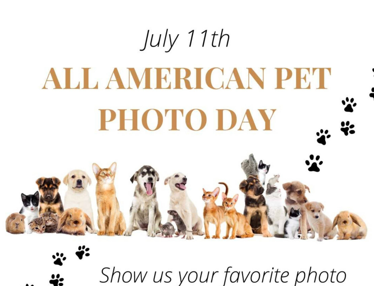 Holiday – July – Pet Photo Day