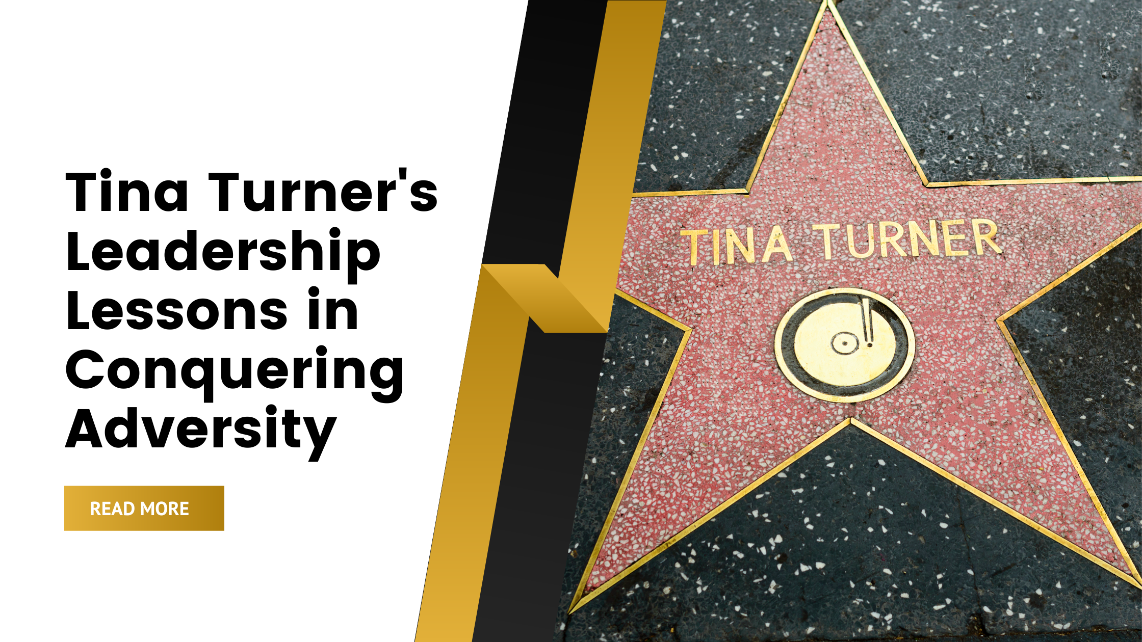 Tina Turner's Leadership Lessons in Conquering Adversity