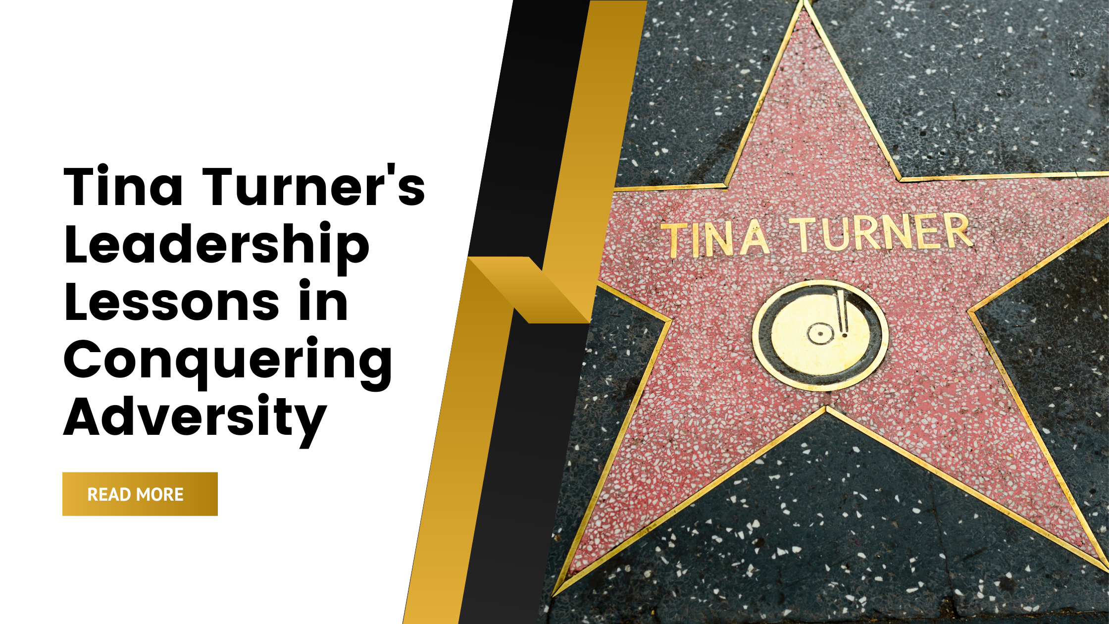 Tina Turner’s Leadership Lessons in Conquering Adversity