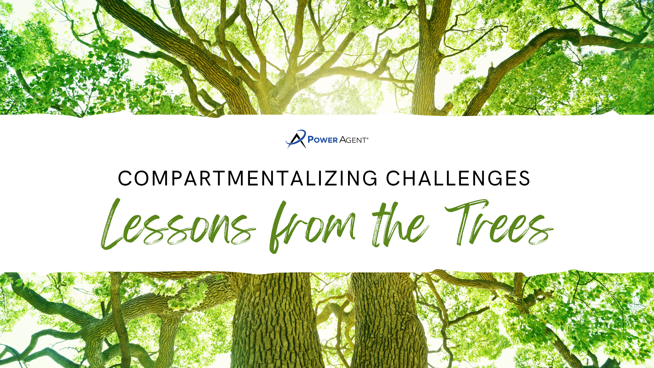 Compartmentalizing Challenges: Lessons from the Trees