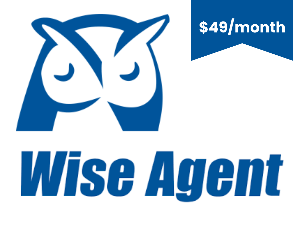 Wise Agent