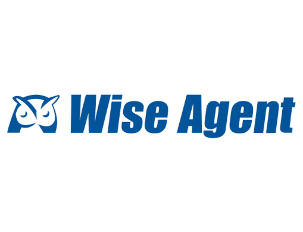 Wise Agent