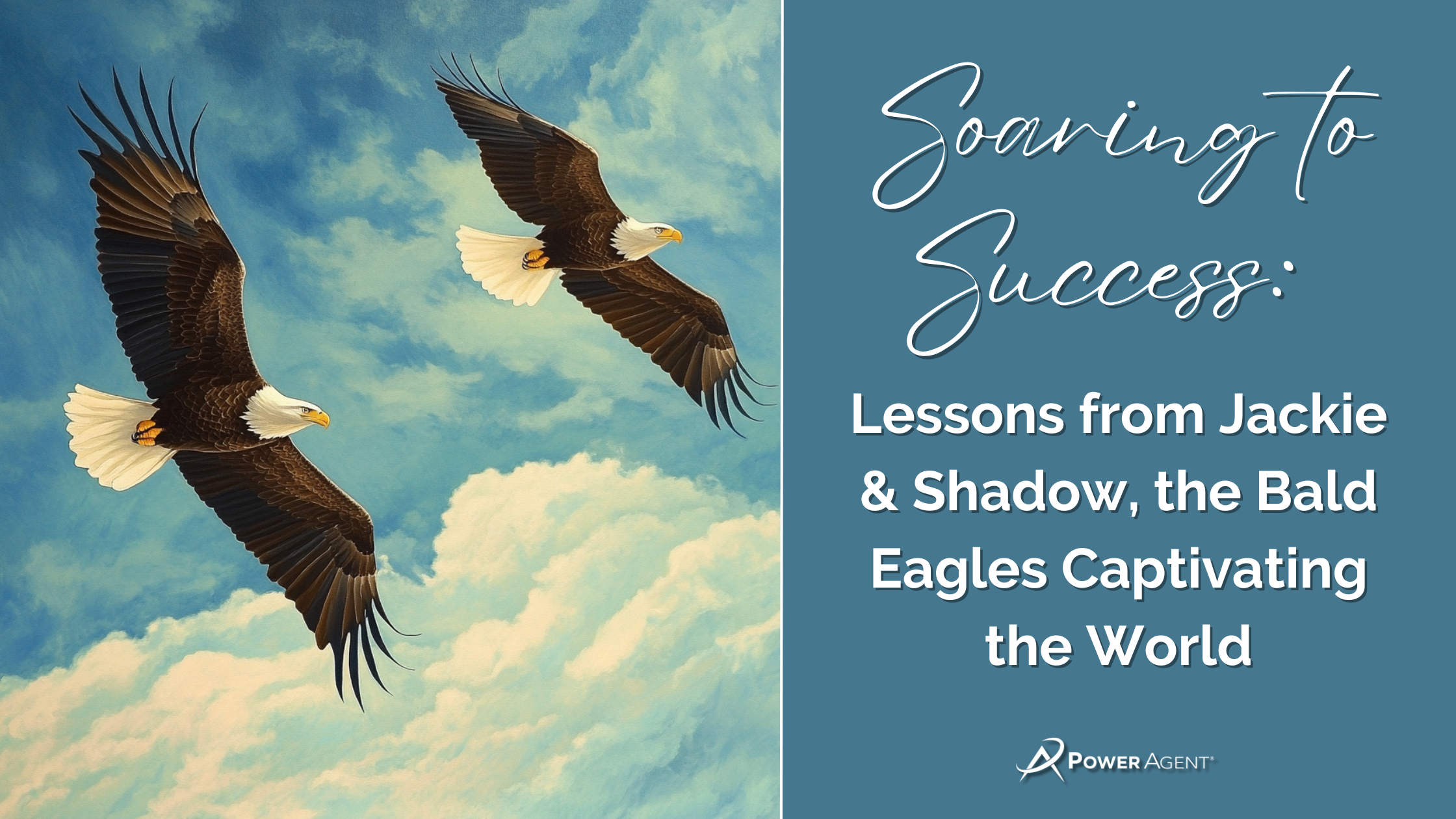 Soaring to Success: Lessons from Jackie & Shadow, the Bald Eagles Captivating the World